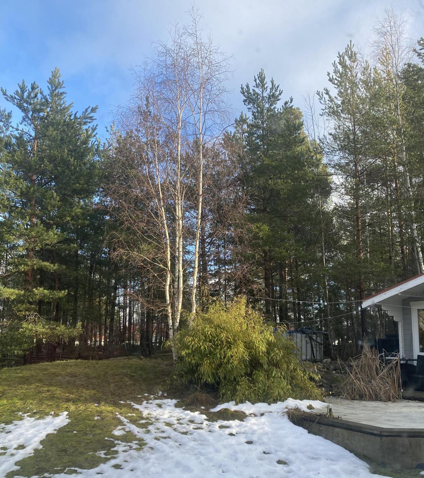 Villa In Svalsaeter, Kallfors, Jaerna, South Of Stockholm, Near Golf, Ytterjaerna Cultural House & The Baltic Sea Beach Järna מראה חיצוני תמונה